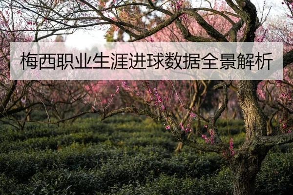 梅西职业生涯进球数据全景解析
